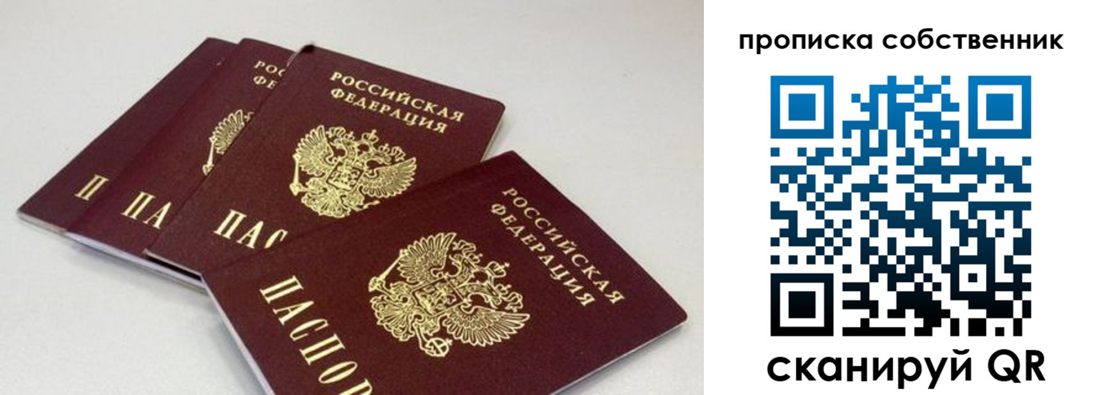 где прописаться в Сертолово
